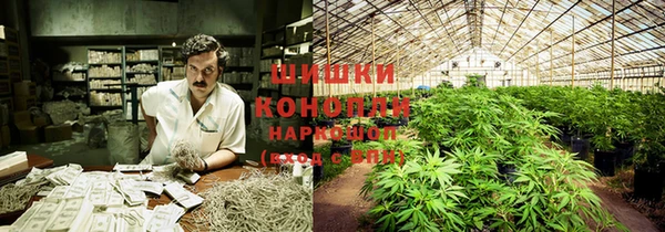 кокаин Дмитриев